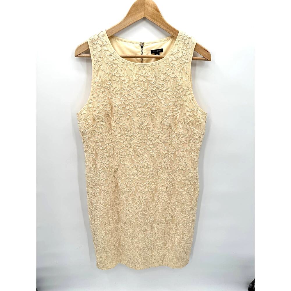 ANN TAYLOR NWT Ivory Cream Lace Cotton Shift Dress // 14